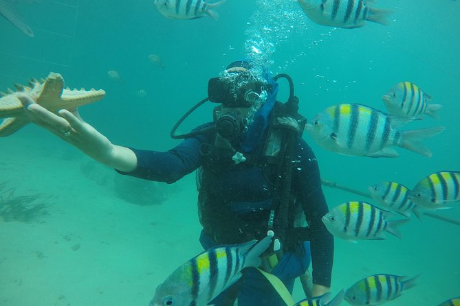 Discover Scuba Diving ( beginners) Combined With Jet Ski - Tanjung Benoa is the activity base