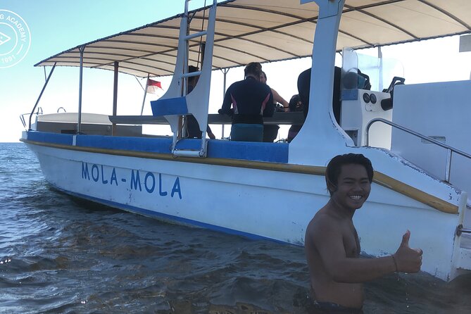 Discover Scuba Diving in Pemuteran at the Biorock site,1 shore dive all included - The Biorock shore session is the main event