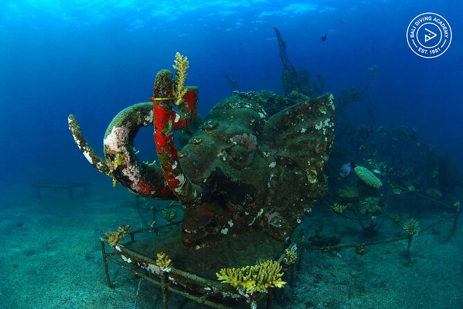 Discover Scuba Diving in Pemuteran at the Biorock site,1 shore dive all included - What the Menjangan Island reference really means