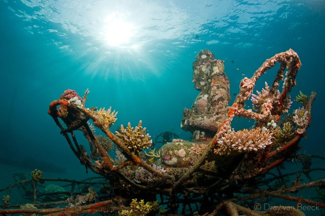 Discover Scuba Diving in Pemuteran at the Biorock site,1 shore dive all included - The morning begins with theory and a medical check