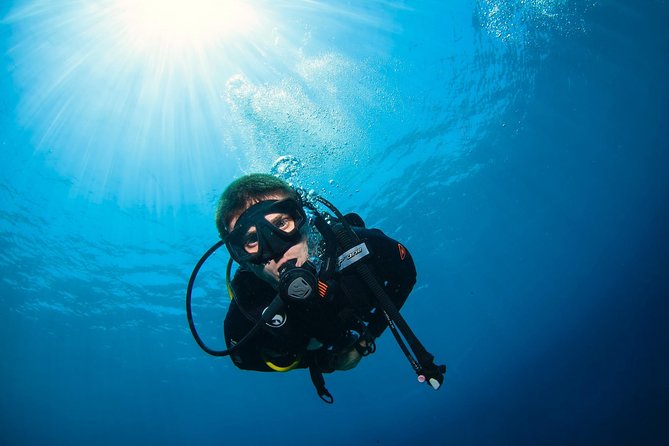 Discover Scuba Diving in Pemuteran - Diving Initiation in Bali (Menjangan Park) - What the $110.05 price really covers