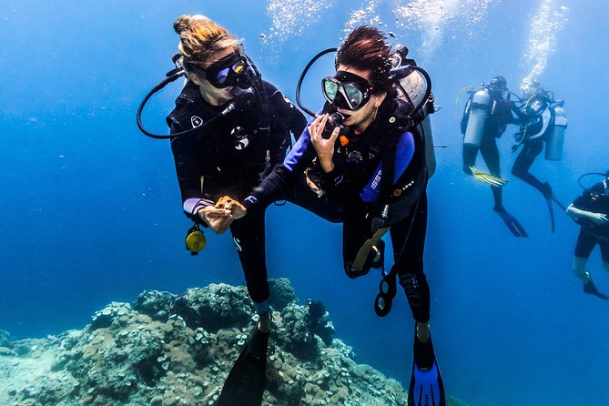 Discover Scuba Diving in Pemuteran - Diving Initiation in Bali (Menjangan Park) - From Pantai Pemuteran to Menjangan National Park