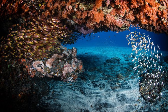 Discover Scuba Diving in Tulamben - Diving Initiation in Bali best diving sites - What is included for $89.40