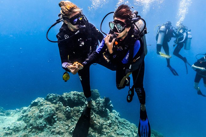 Discover Scuba Diving in Tulamben - Diving Initiation in Bali best diving sites - Coral Garden: the first step beyond the practice area