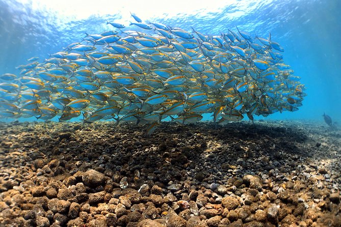 Discover Scuba Diving Tulamben Bali For Non-Certified Divers - Why the USAT Liberty is such a good first wreck