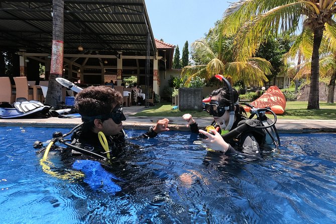 Discover Scuba Diving Tulamben Bali For Non-Certified Divers - An early start from Kuta, then a long road to Tulamben