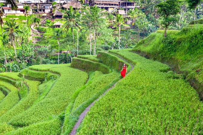 Discover The Best of Ubud: All-Inclusive and Private Guided Tour - Why this private route works well for Ubud