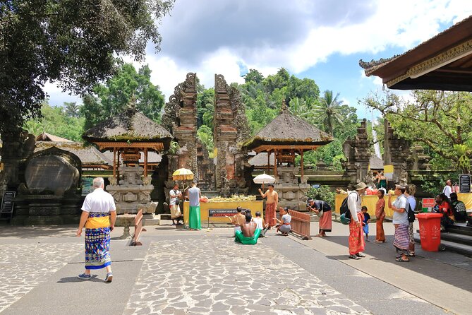 Discover The Best of Ubud: All-Inclusive and Private Guided Tour - Pemulan Bali Coffee Plantation: a gentle final stop