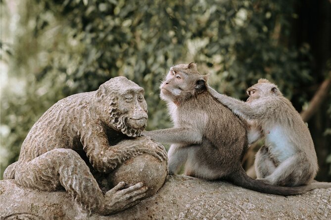Discover Ubud: 2 Days Ubud Private Tour - Monkey Forest: beautiful, lively, and not entirely predictable