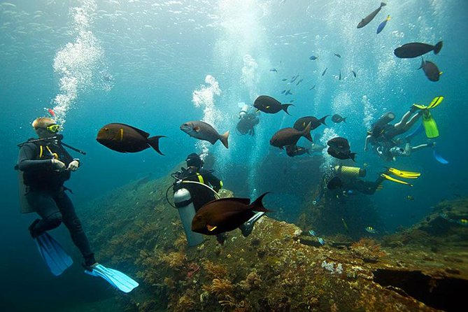 Dive at Tulamben Bali USS Liberty Ship Wreck - What the Included Package Covers