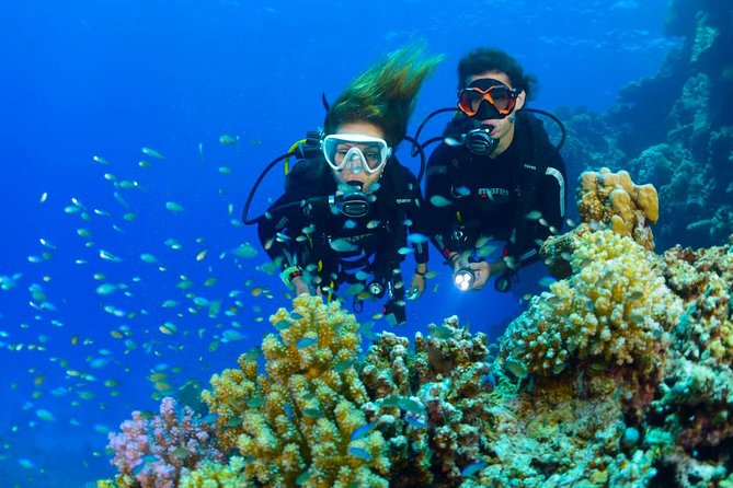 Dive at Tulamben Bali USS Liberty Ship Wreck - Transport From Seminyak, Ubud, and Candidasa