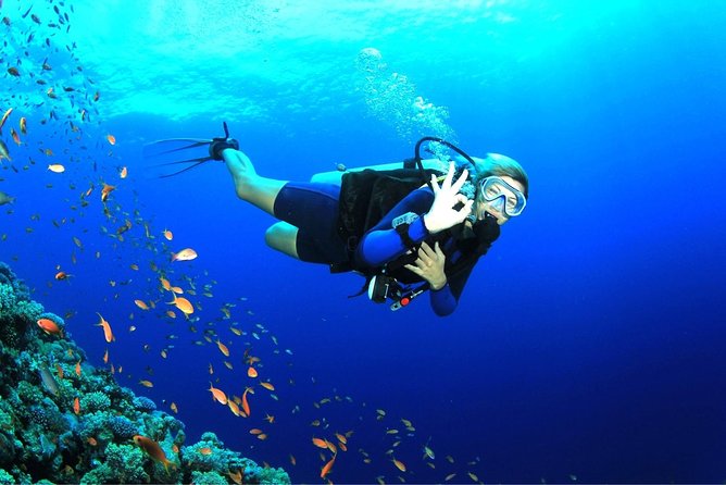 Dive at Tulamben Bali USS Liberty Ship Wreck - Who Should Book This USS Liberty Experience
