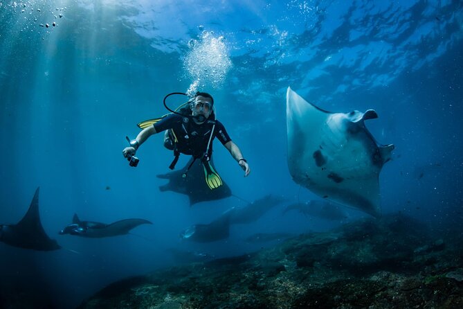 Diving in Nusa Penida - Your morning at Sanctum Dive in Nusa Penida