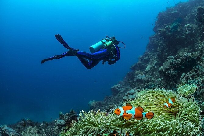 Diving in Nusa Penida - What the instructors add for first-timers