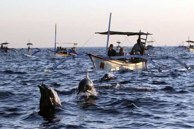 Dolphin Tour and Sunrise Watching in Lovina Beach - All Inclusive - The long ride north from Ubud or south Bali