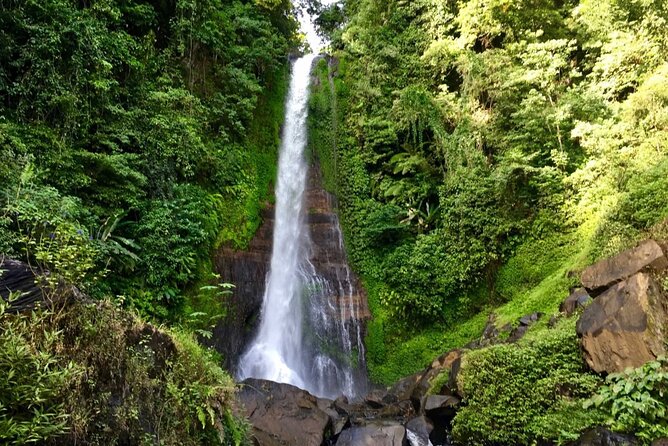 Dolphin Tour and Sunrise Watching in Lovina Beach - All Inclusive - Wanagiri Hidden Hills above Lake Buyan