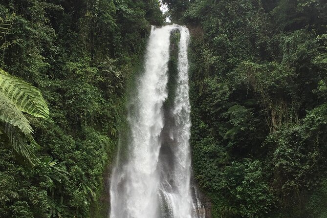 Dolphin Tour and Sunrise Watching in Lovina Beach - All Inclusive - Optional waterfalls and temple stops
