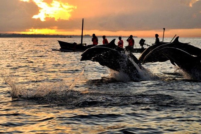 Dolphin Tour and Sunrise Watching in Lovina Beach - All Inclusive - The boat captain and the human side of the trip