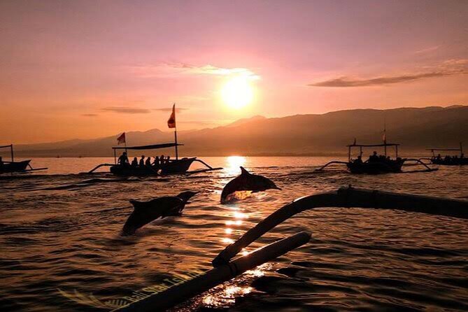 Dolphin Watching Tour, Swimming with Dolphins and Snorkeling - Sunrise Begins at Lovina Beach