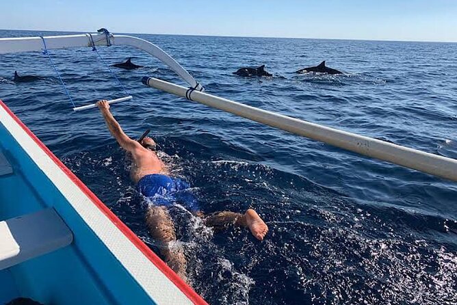 Dolphin Watching Tour, Swimming with Dolphins and Snorkeling - Snorkeling Over Coral and Fish