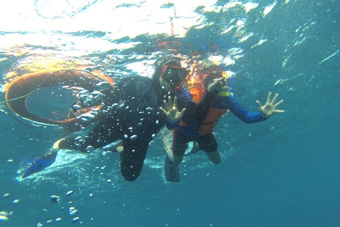 Early Bird Speedboat Group Tour : Explore Komodo Ahead of Crowds - Speedboat comfort, group size, and the long day