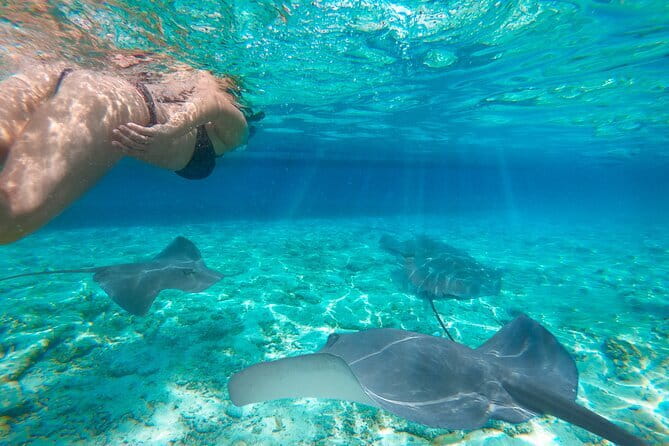 Early Morning Private Komodo Speedboat Tour - Taka Makasar, a tiny sandbar in open water