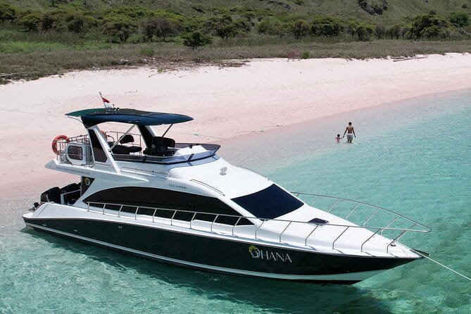 Early Morning Private Komodo Speedboat Tour - Manta Point and Siaba Island snorkeling