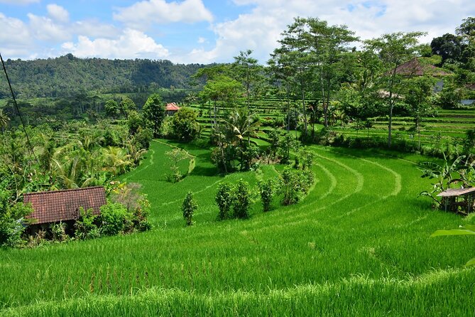 East Bali Tour: Gate of Heaven, Water Palace, Sleeping Gajah - Who should book this East Bali tour?
