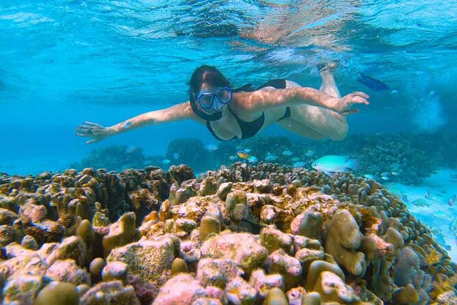 East Lombok Secred Gilis (Gili Kondo, Gili Bidara, Gili Petagan, Gili kapal) - Gili Bidara for shallow, beginner-friendly snorkeling