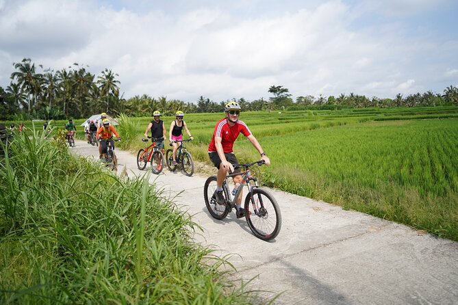 Electric Bike and Swing Package - Why This E-Bike Route Works So Well