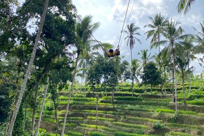 Electric Bike and Swing Package - Starting in Abuan, Kintamani