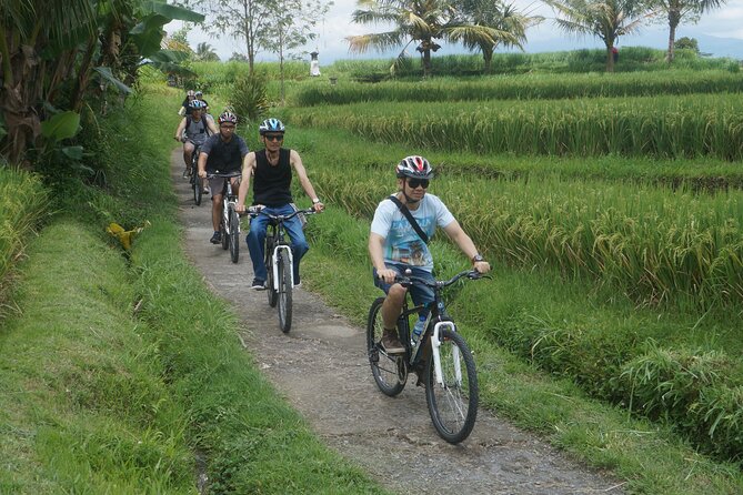 Electric Bike and Swing Package - Finishing in Tegallalang