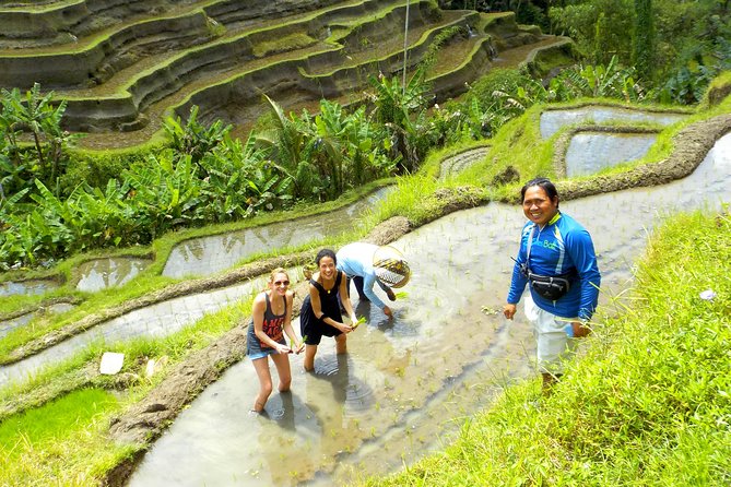 Electric Cycling Tour of Ubud with Free Hotel Transfer and Lunch - Tegalalang Rice Terrace and the best photo stop