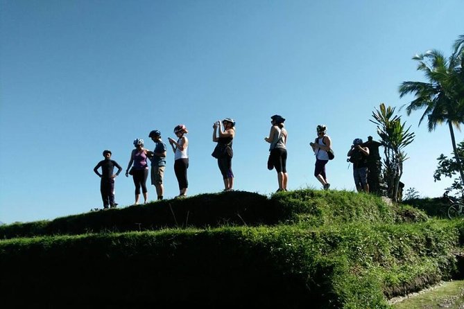 Electric Cycling Tour of Ubud with Free Hotel Transfer and Lunch - Lunch after the morning ride, dinner after the afternoon ride