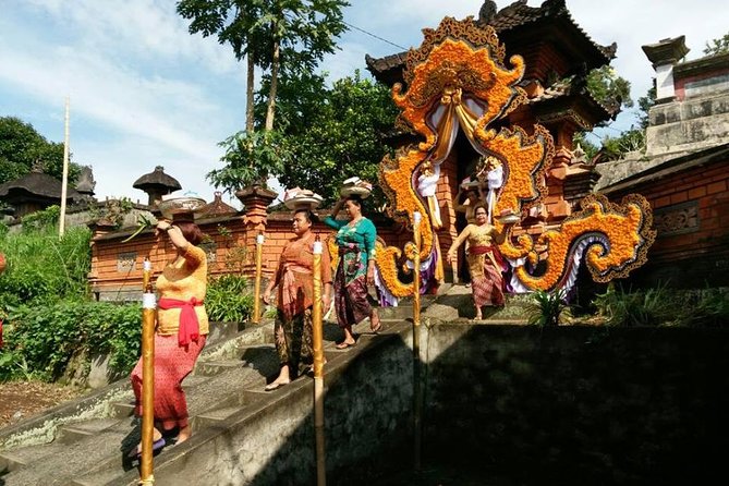 Electric Cycling Tour of Ubud with Free Hotel Transfer and Lunch - Who will enjoy this ride most
