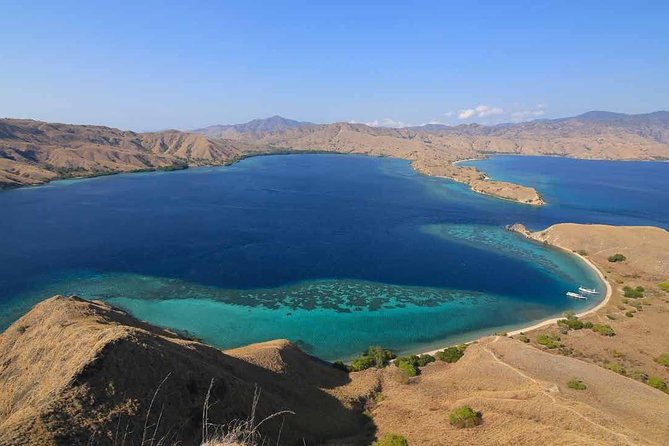 Exclusive Early Bird Komodo Tour: Beat the Crowds by Speed Boat - Why the early speedboat matters