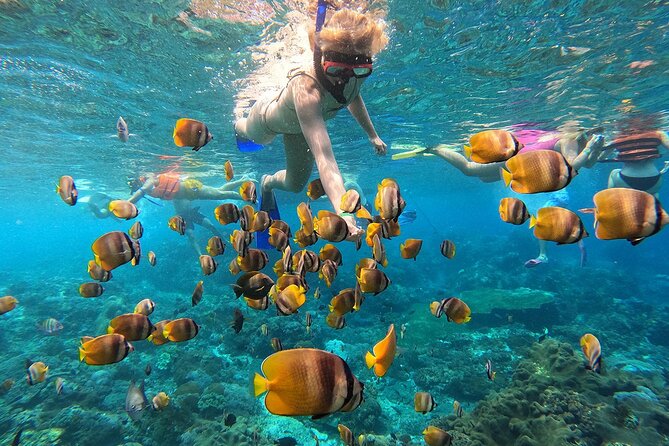 Explore 4 iconic snorkeling spots of Manta Bay in Nusa Penida - Four Nusa Penida sites in one short outing