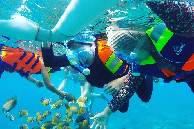 Explore 4 iconic snorkeling spots of Manta Bay in Nusa Penida - Manta Bay, with realistic expectations
