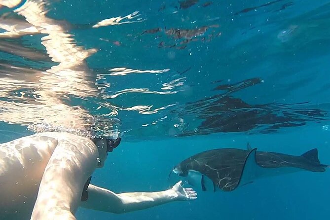 Explore 4 iconic snorkeling spots of Manta Bay in Nusa Penida - What the $27 price really covers