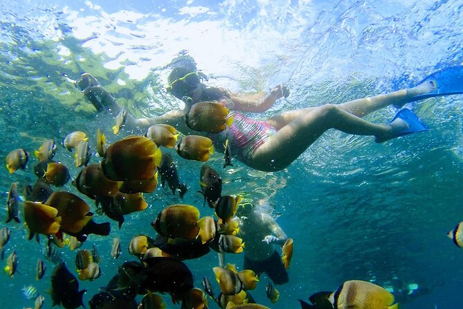 Explore 4 iconic snorkeling spots of Manta Bay in Nusa Penida - Boats, boarding, and the physical side of the trip