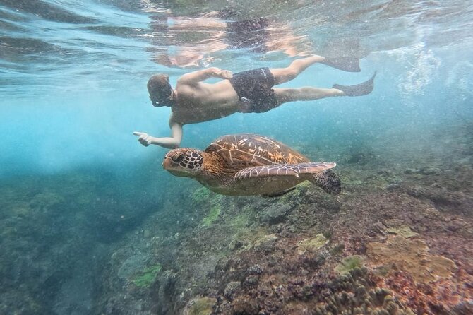 Explore 4 iconic snorkeling spots of Manta Bay in Nusa Penida - GoPro photos, same-day sharing, and what to expect