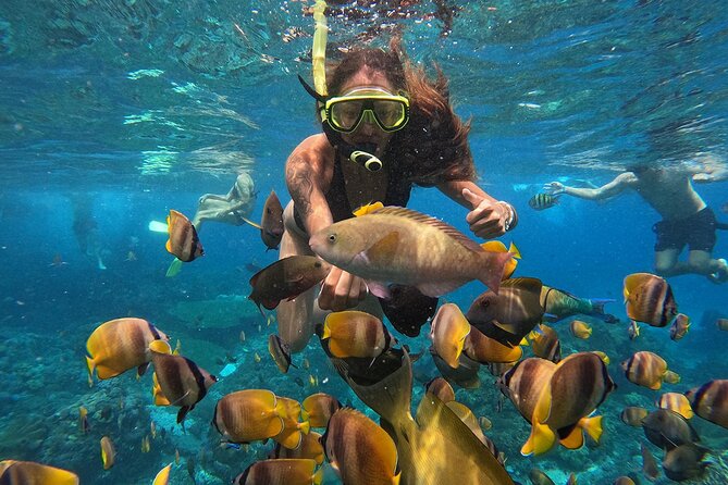 Explore 4 iconic snorkeling spots of Manta Bay in Nusa Penida - Choosing Sanur or Nusa Penida as your starting point
