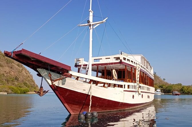 Explore Komodo and Swim with Whale Sharks - What the $300 price really buys you