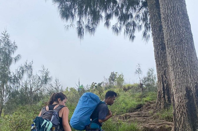 Explore Mount Rinjani To Summit, Lake & Hot Spring (3D 2N) - What the $180 Price Covers