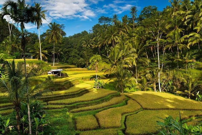 Exploring Bali in 3 Days: Discover Top Places in Bali - Key points to know before booking