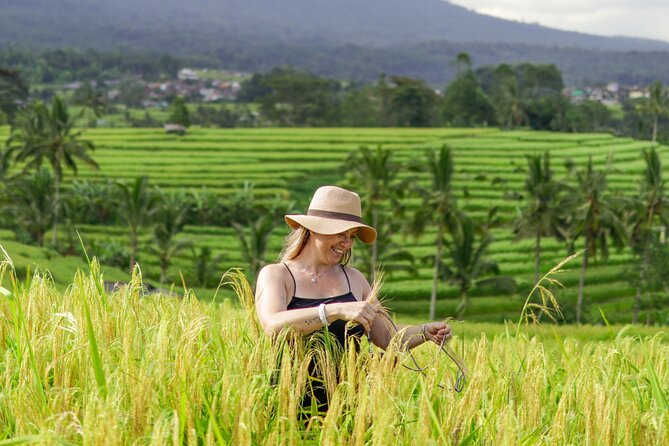 Exquisite UNESCO World Heritage Sites in Bali - What the private format changes
