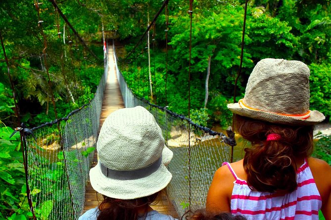 FAMILY JUNGLE TOUR: Orangutan Trek (4-hours hike) by EcoTravel Bukit Lawang - Arriving in Bukit Lawang before the trek