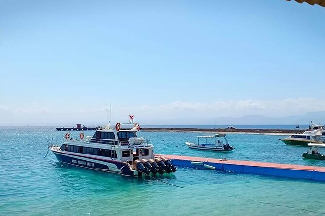 Fast Boat Transfer: Sanur to Nusa Penida by Penidago - Arriving at Nusa Penida and crossing the shoreline