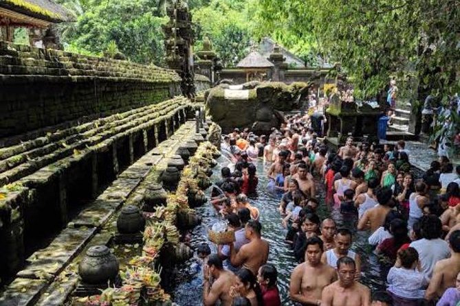 Favorite Sites of Ubud Daytrip - What the private format adds