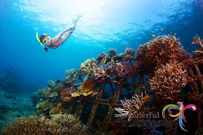 Fly Board Experience in Bali - Weather, timing, and the practical details